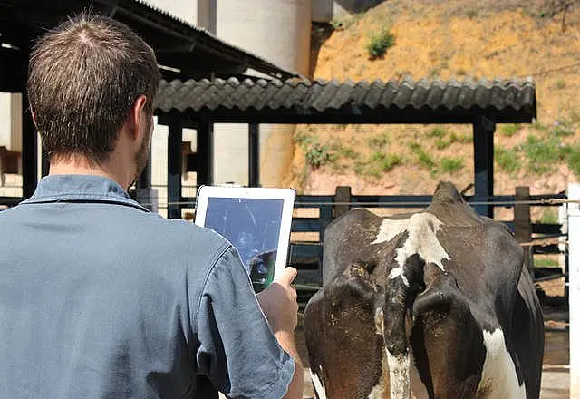 No dia do Zootecnista entenda mais sobre a profissão