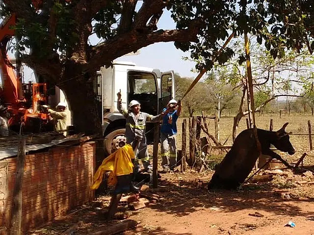 Vaca cai em fossa e resgate mobiliza Bombeiros em chácara de Anastácio