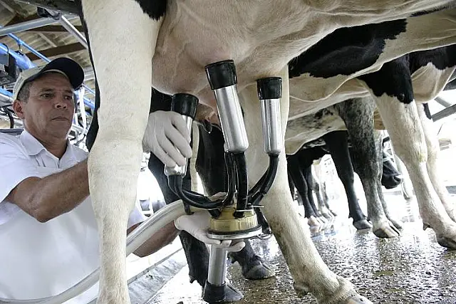 Diminuição de 12,5% da captação de leite em MS é reflexo de alta na produção