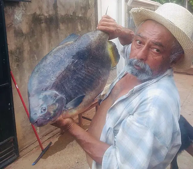 Comerciante conhecido de Jardim morre afogado no rio Miranda