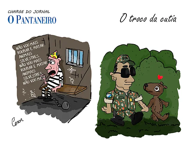 O Troco da Cutia