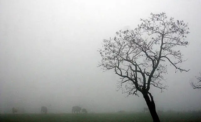 Aquidauana registra uma das menores temperaturas do ano: 5 graus