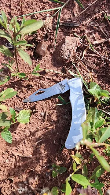 Polícia prende homem que esfaqueou mulheres em Iguatemi