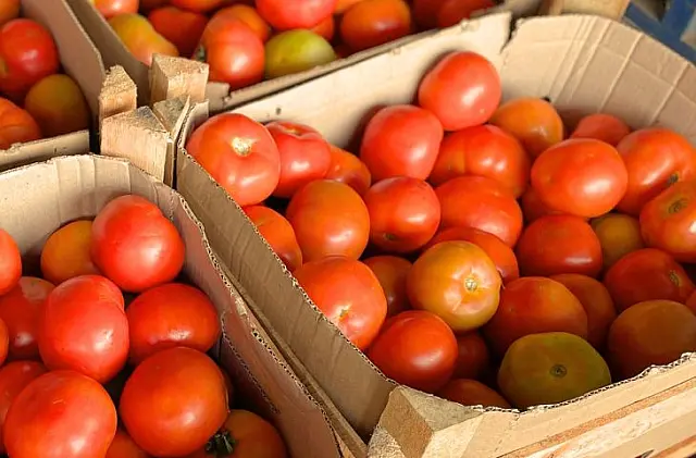 Tomate e alface estão mais baratos no Ceasa esta semana