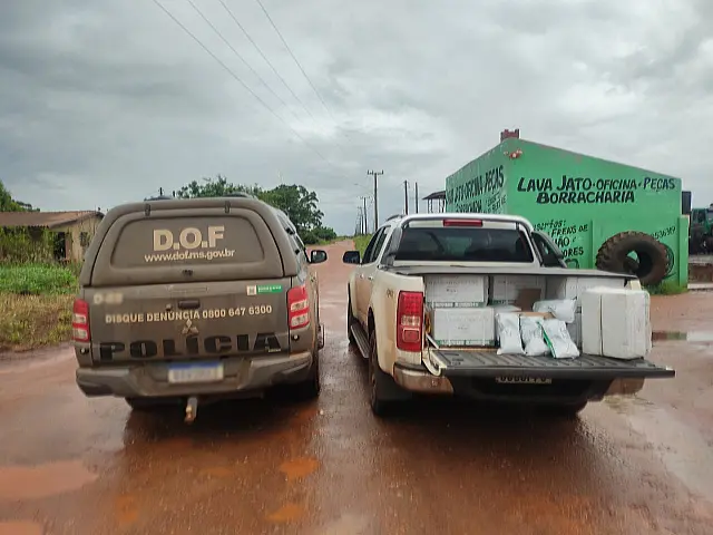 DOF flagra caminhonete com 250 quilos de agrotóxicos contrabandeados
