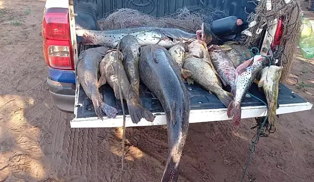 Operação Piracema autua 30 pessoas e aplica multas de mais de R$ 134 mil