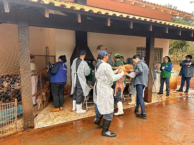 Polícia participa de mutirão de Limpeza em ONG após prisão de protetoras de animais