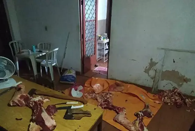 Operação contra distribuição clandestina de carne em MS apreende caminhonete e BMW