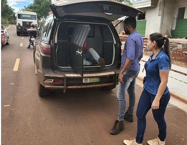 Acusado de estupro de vulnerável e homicídio é preso pela Polícia Civil