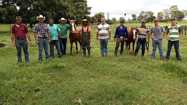 Curso de casqueamento e manutenção de cascos de equídeos termina nesta sexta-feira