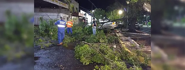 Ventos de 70 Km/h derrubam árvores, fiações e interditam ruas em Aquidauana e região