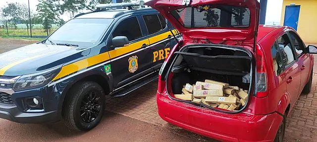 Policial apreende 60 kg de maconha na BR-060