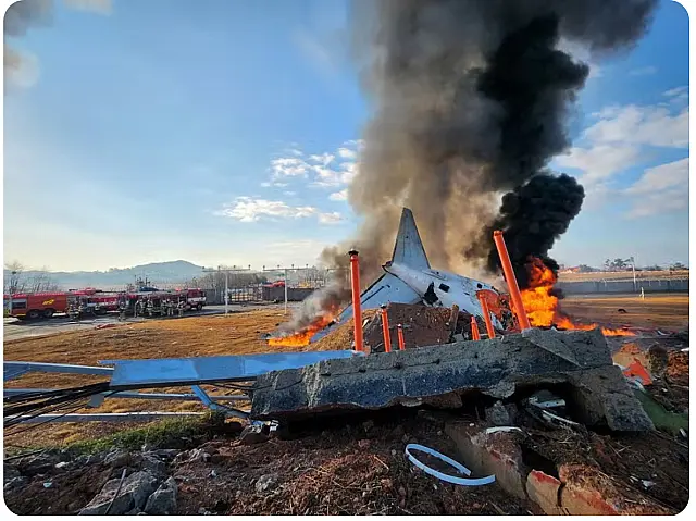 Colisão com pássaros pode ter causado explosão de avião que matou 179 pessoas