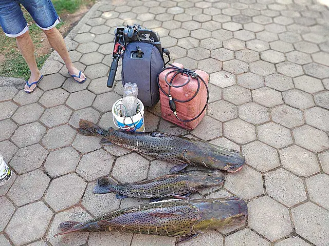 Trio de Campo Grande é preso por pesca predatória no rio Aquidauana
