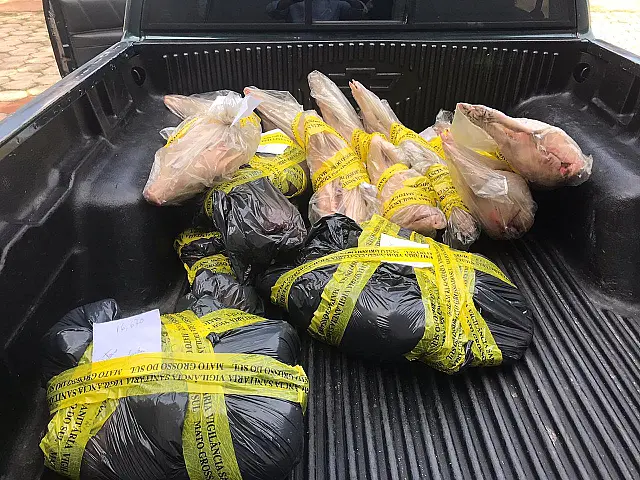 Polícia prende comerciantes que vendiam carne imprópria para o consumo