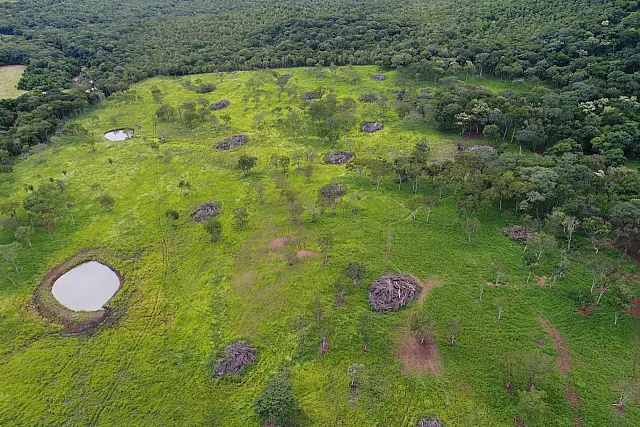 Fazendeiro é multado em R$ 14 mil após derrubar mata nativa em Jardim
