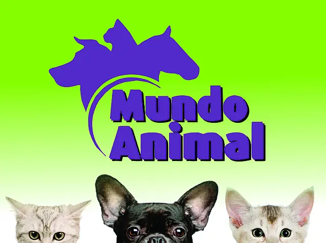 Com linha completa de produtos, Mundo Animal realiza promoções especiais