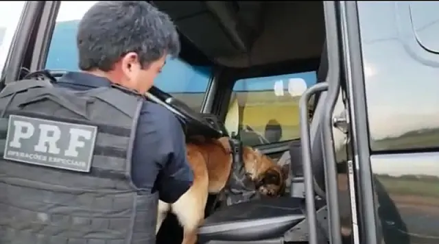 PRF apreende 1kg de cocaína em fundo falso de cabine de carreta