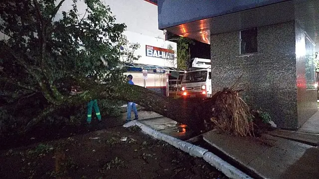 Atingido por granizo, governo de MS decreta situação de emergência em Naviraí