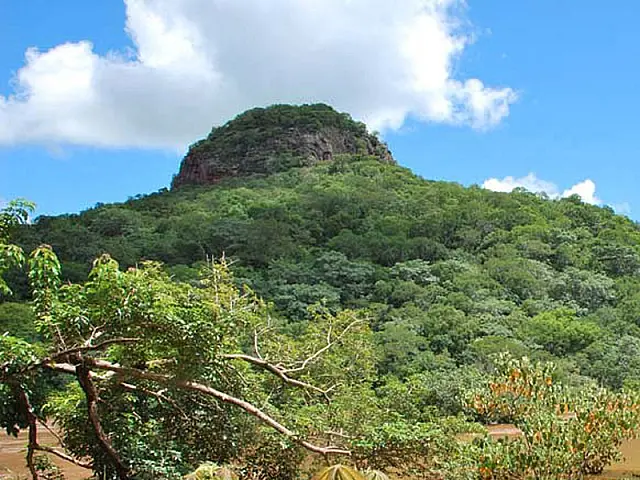 Meio Ambiente: 'Vista Grossa'