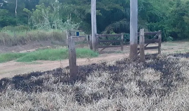 PMA autua dono de rancho por incêndio em resíduos de limpeza