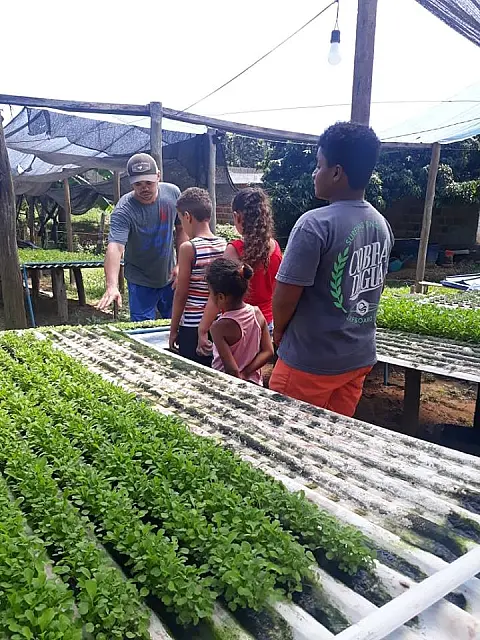 Parceria cria Grupo de Hortoterapia no ESF São Francisco em Aquidauana