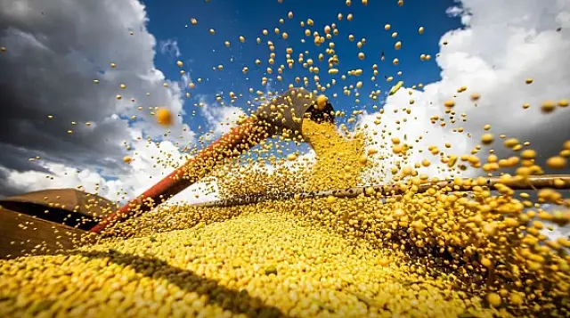 Safra de grãos no Brasil atinge novo recorde com 350,2 milhões de toneladas