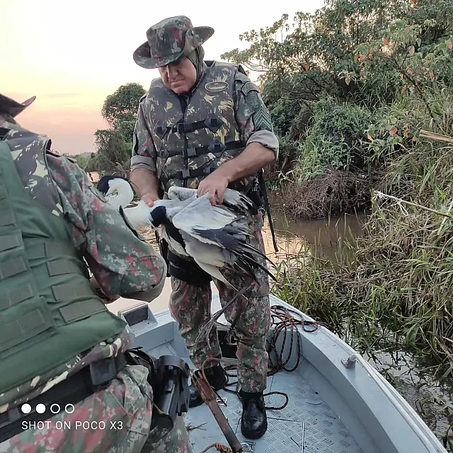 Garça presa em anzol é resgatada durante ação da PMA