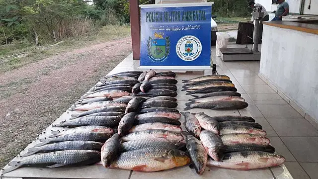Pescador é flagrado com estoque de peixes no Águas do Miranda e vai preso
