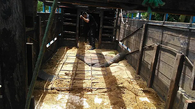 Caminhoneiro é preso com mais de 1.300 quilos de maconha em fundo falso