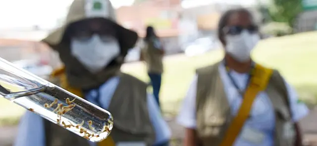 MS registra 16.207 casos confirmados de dengue