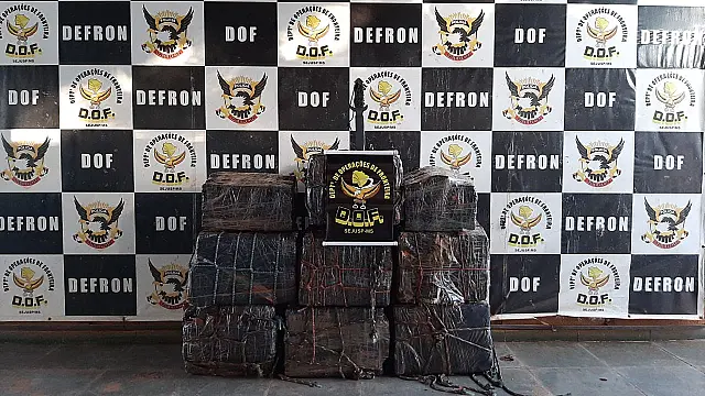 Carga de 420 kg de maconha é apreendida na MS-379 e dois homens são presos