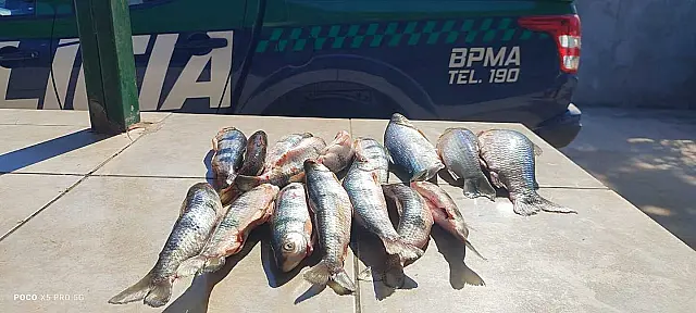 Homem é preso e multado após ser flagrado com pescado irregular