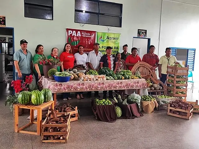 Compras públicas aumentam renda de agricultores familiares em até 106%