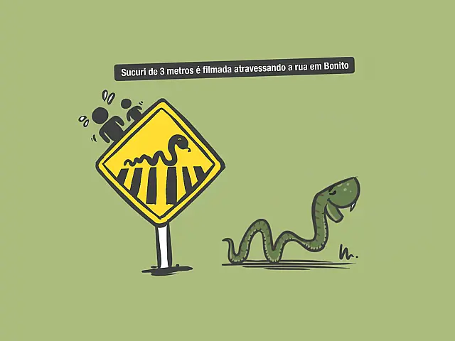 Sinalização