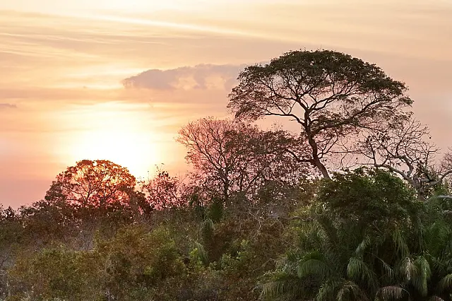 MPMS pede que Imasul não autorize desmatamento de 2,9 mil hectares do Pantanal
