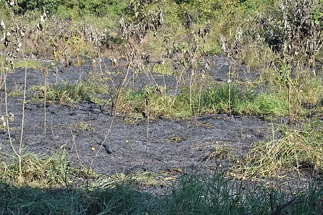 Terreno na vila Bancária é atingido por incêndio provocado