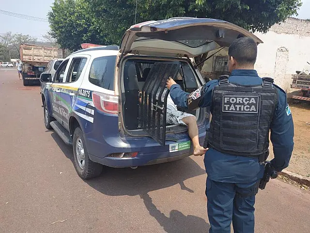 Jovem de 18 anos é preso com maconha dentro de carteira de cigarro em Aquidauana