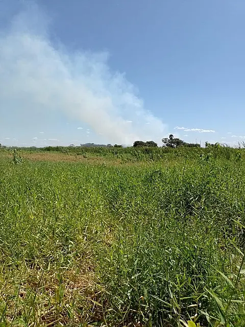 Bombeiros e PMA verificam incêndio às margens do canal Tamengo