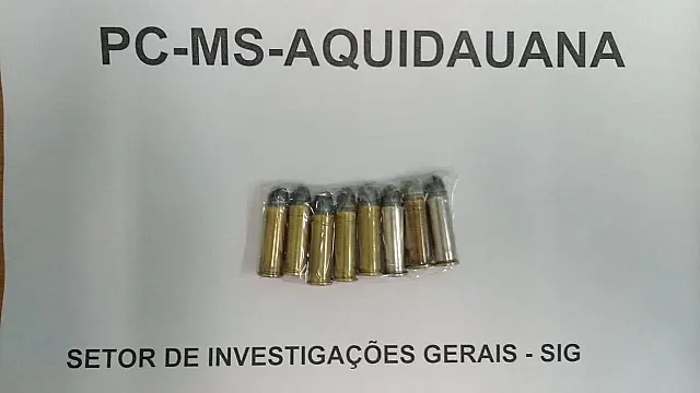 Polícia Civil apreende munições durante busca em casa na Vila Trindade