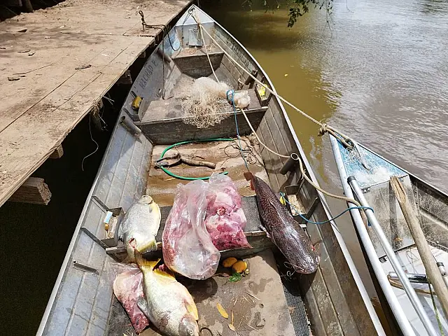 Piracema: 11 pescadores são presos e R$ 20 mil são aplicados em multas