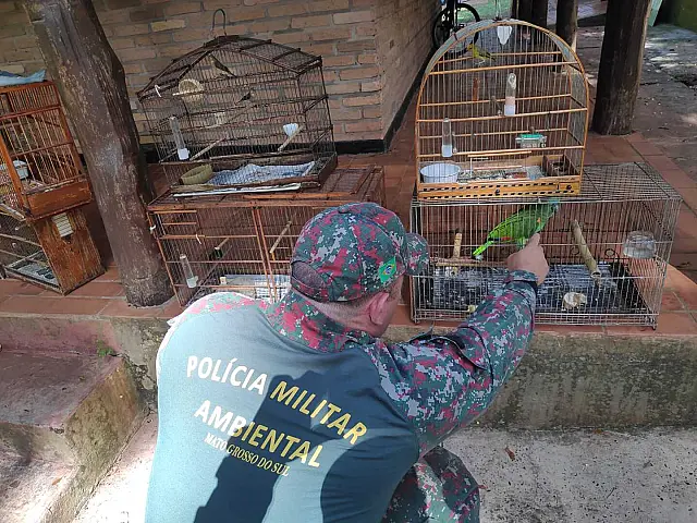 PMA autua suspeito de tráfico de animais silvestres