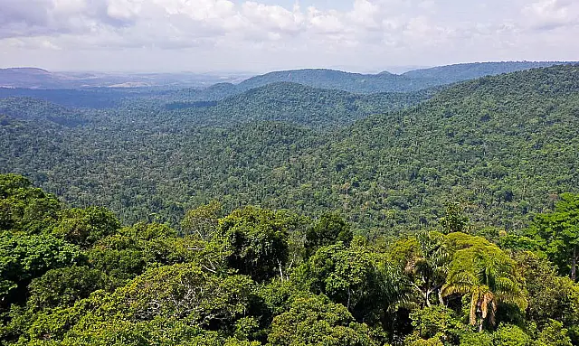 Governo cria Cédula de Produto Rural Verde