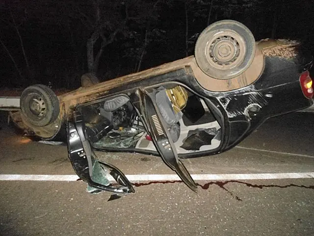 Animais na pista provocam acidente com três veículos na BR-262