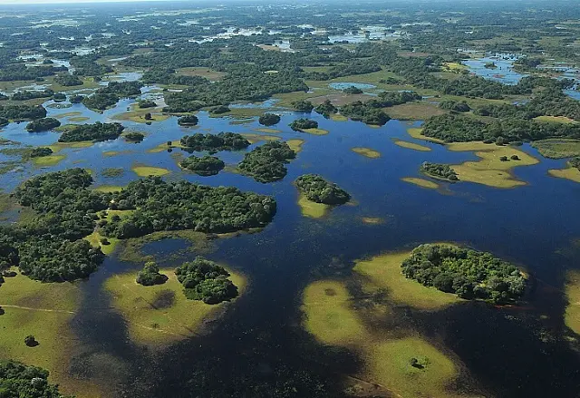 Em três décadas, Pantanal perde uma Campo Grande em florestas