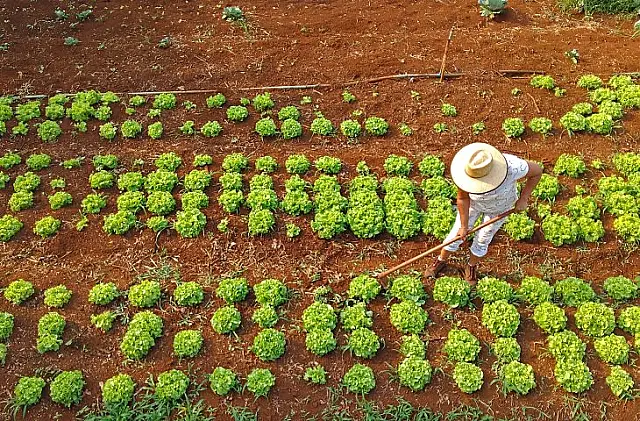 Agraer fortalece acesso ao crédito rural para abrir oportunidades no campo