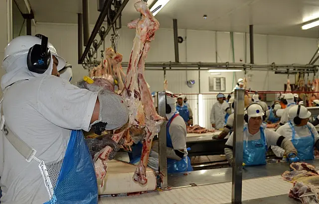 MS registra alta de 6,72% no abate de bovinos no primeiro trimestre de 2019