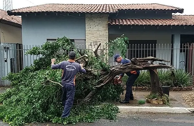 Temporal causa estragos em regiões de MS e Defesa Civil contabiliza danos
