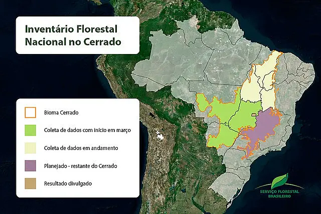 Levantamento de Inventário Florestal Nacional chega a quase 80% do Cerrado