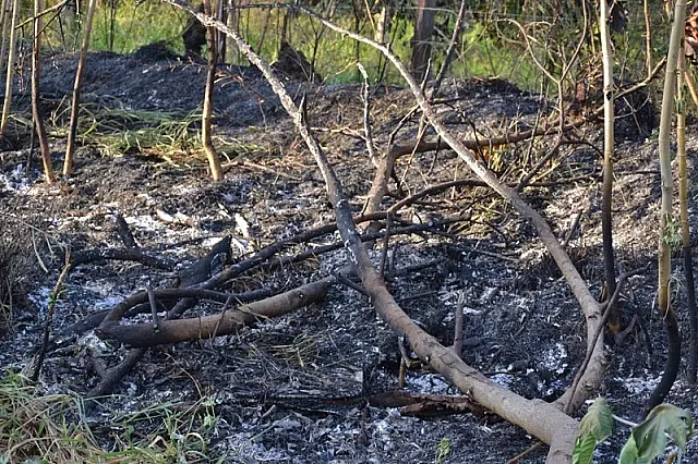 Bombeiros alertam para o risco das queimadas para “limpar” terrenos